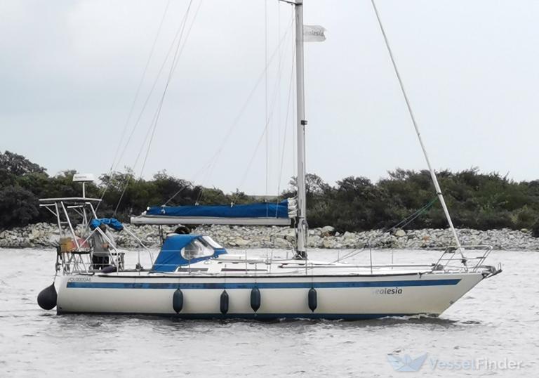 SEALESIA photo