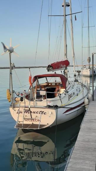 LA MOUETTE photo