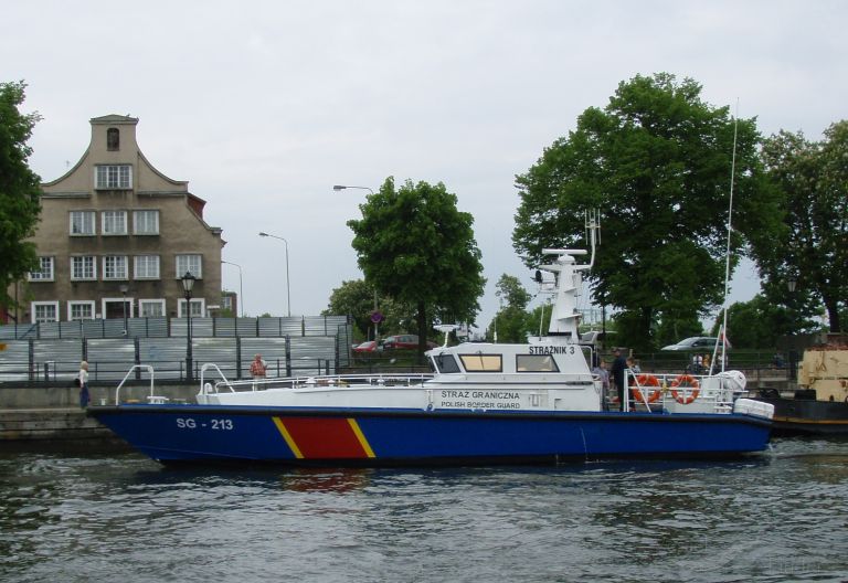 SG-213 photo