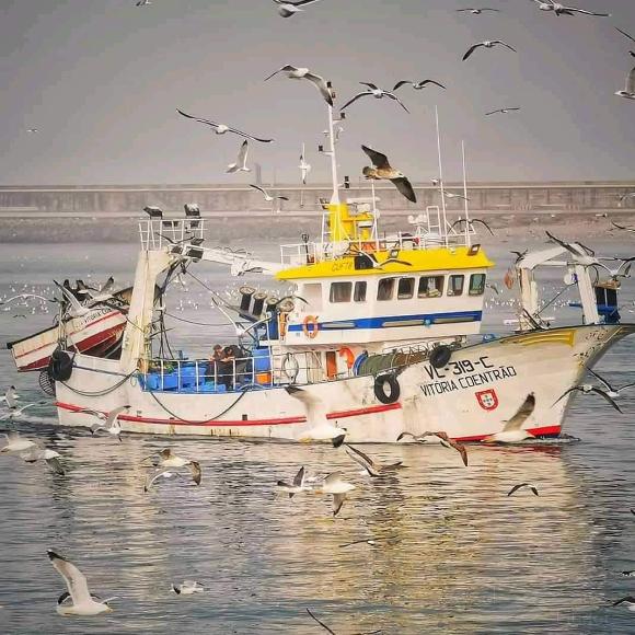 ship photo