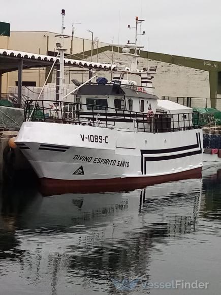 DIVINO ESPIRITOSANTO photo