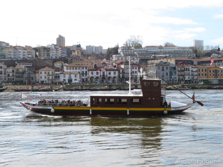 DOURO HARVEST photo