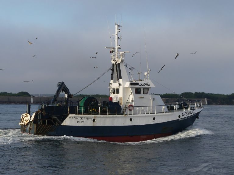 TRICANA DE AVEIRO photo