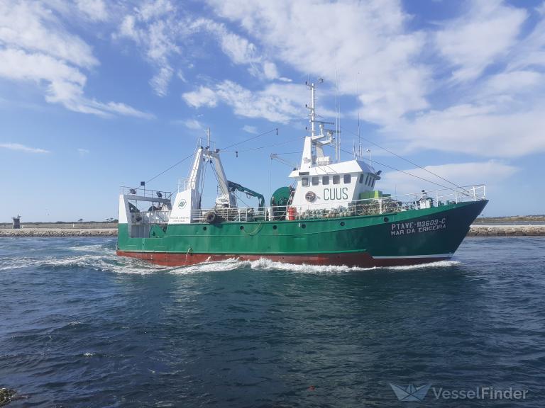 MAR DA ERICEIRA photo