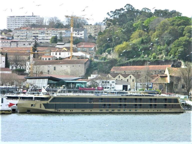 AMADOURO photo