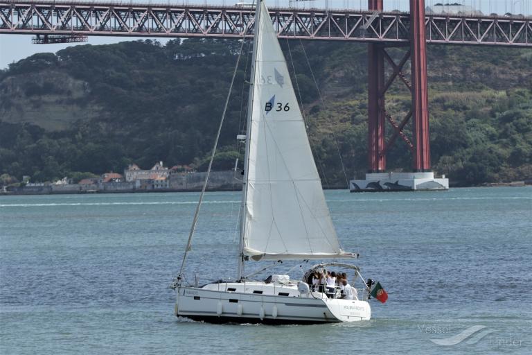 PALMAYACHTS photo