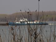 DANUBE-GRACE