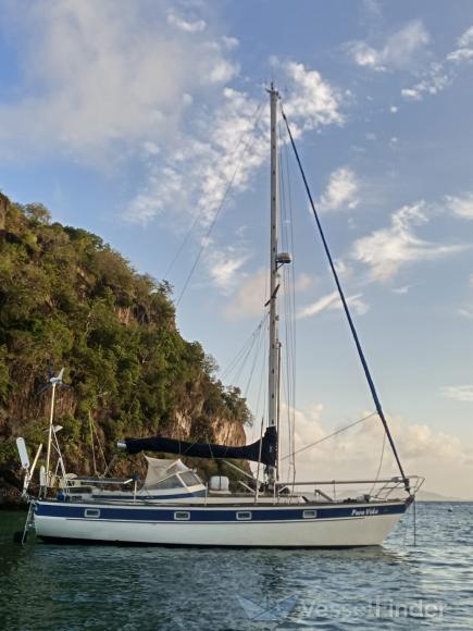 PURA VIDA photo
