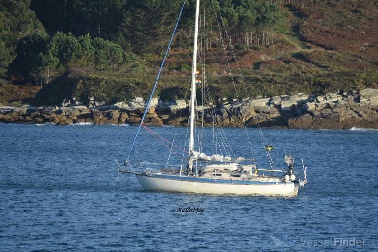 VINDIL MOZZARELLA photo