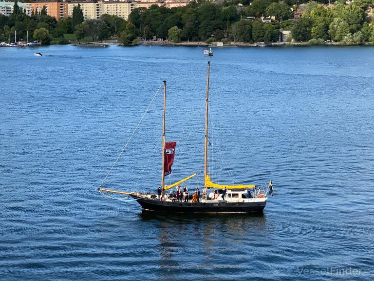 SY EMELY RAVEN photo