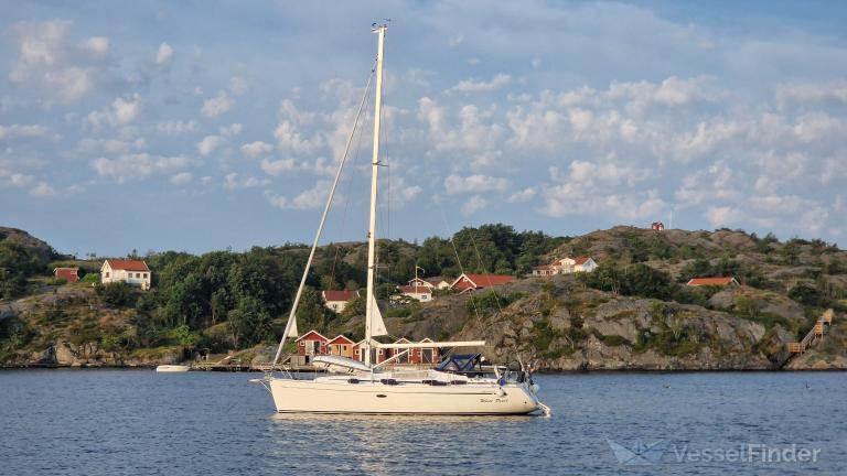 WHITE PEARL BT photo