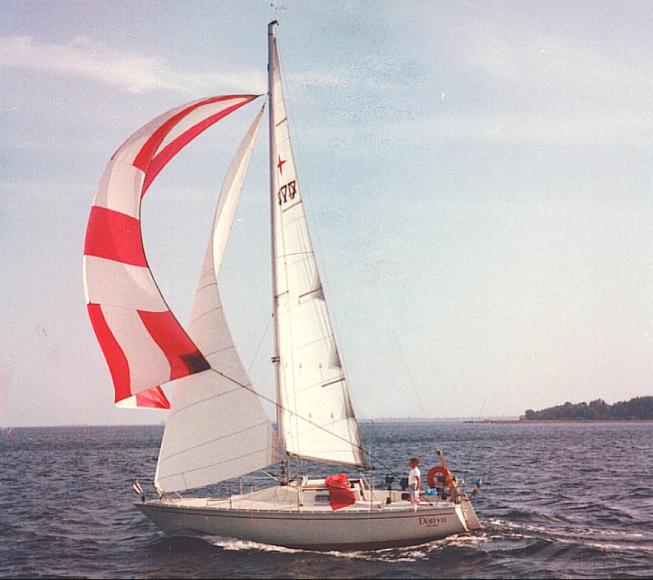DEJA VU - ALBIN78 photo