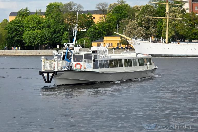 DELFIN XI photo