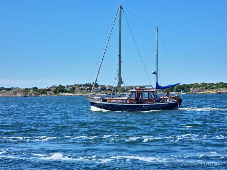DELPHIN photo