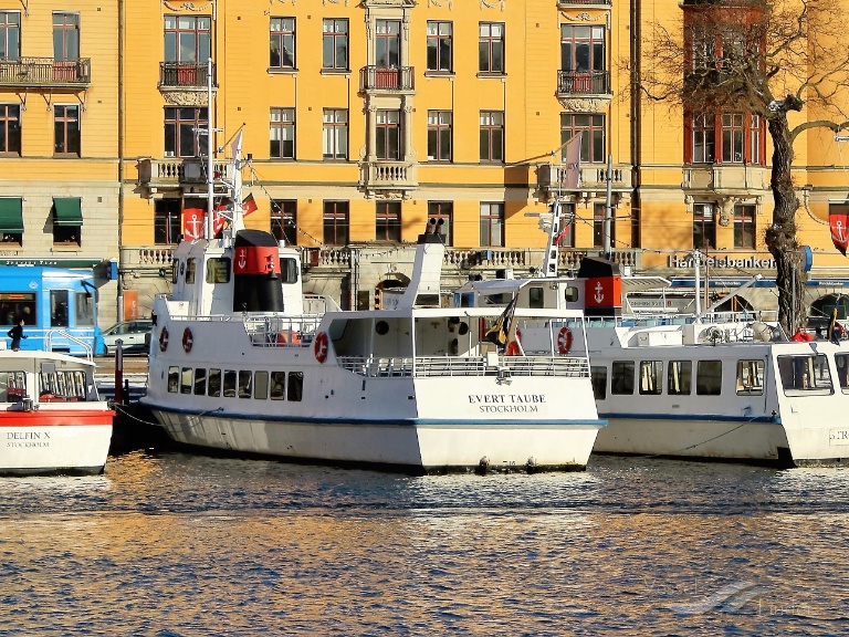 MS EVERT TAUBE photo