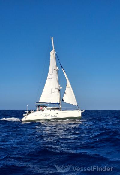THINK TWICE SAIL CAT photo