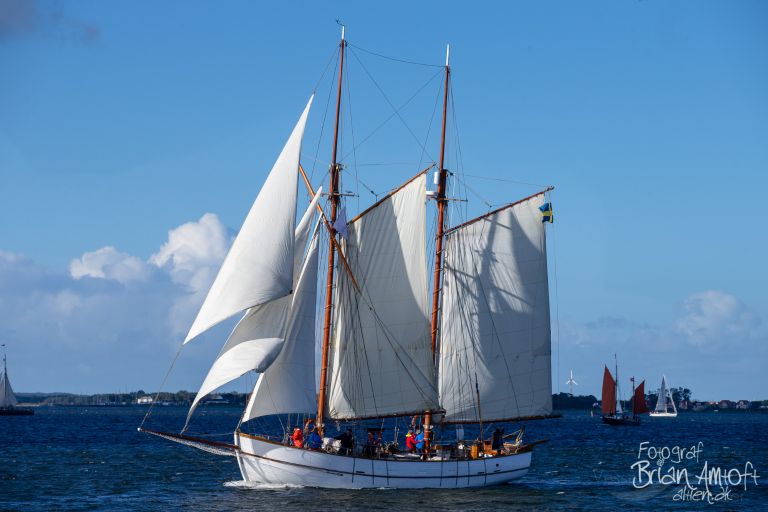 TS NINA photo
