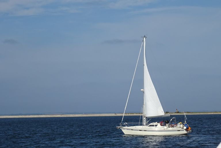 CALETA photo
