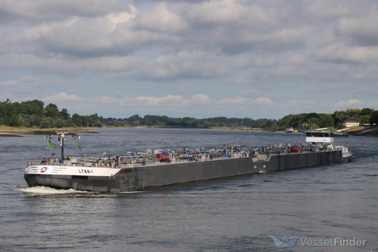 LYNN II photo
