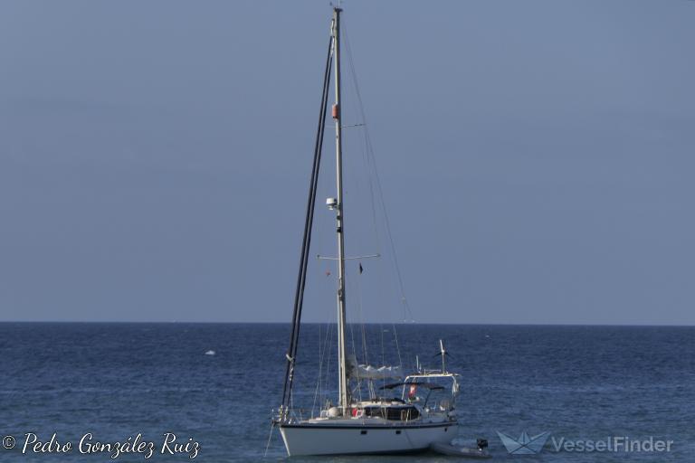 SY PURA VIDA photo