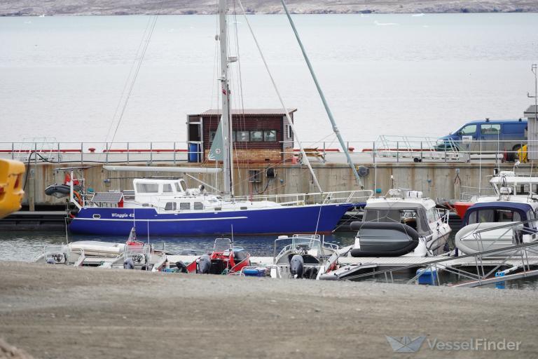 WINGGIS 42 photo