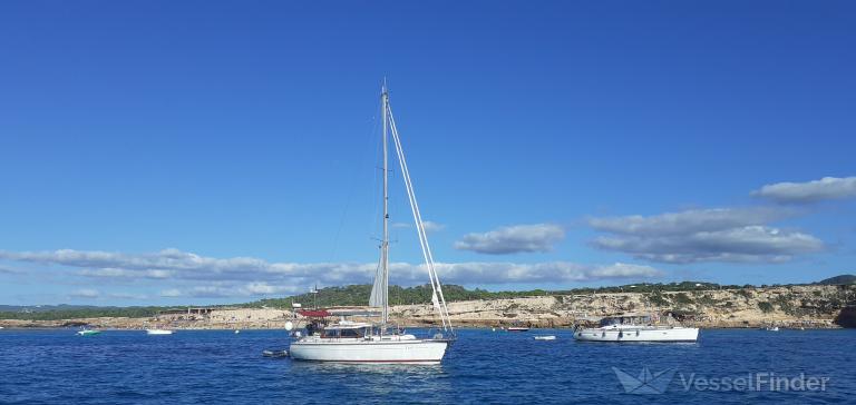 TJARK photo