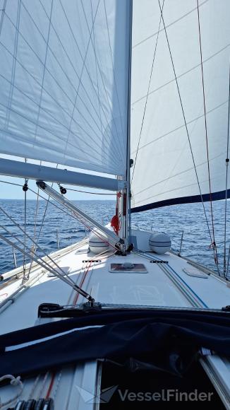 BLUE SEA PEARL photo