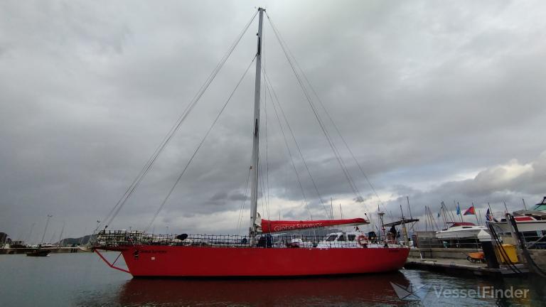 GLOBAL SURVEYOR photo