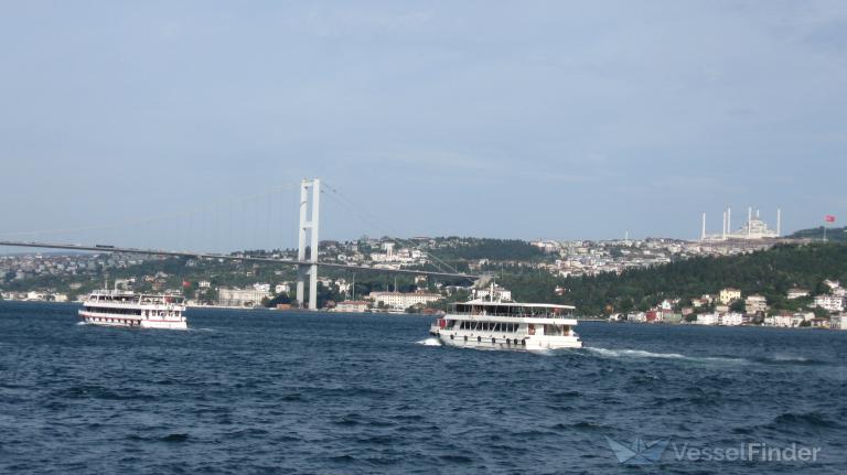 TURGUT YUKSEL photo