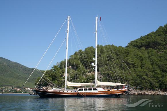 KAYA GUNERI-4 photo
