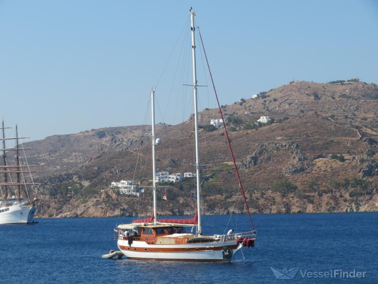 AFFOLA photo
