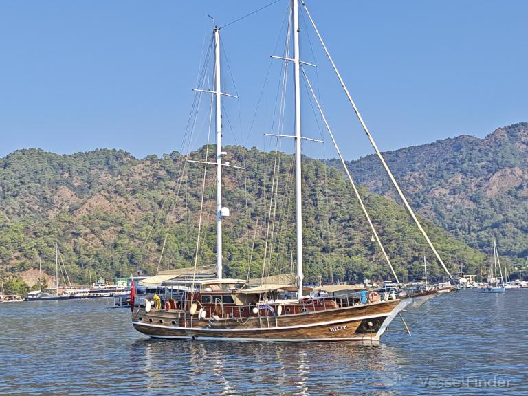 BILIZ photo