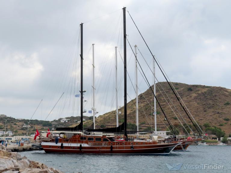 KAYA GUNERI PLUS