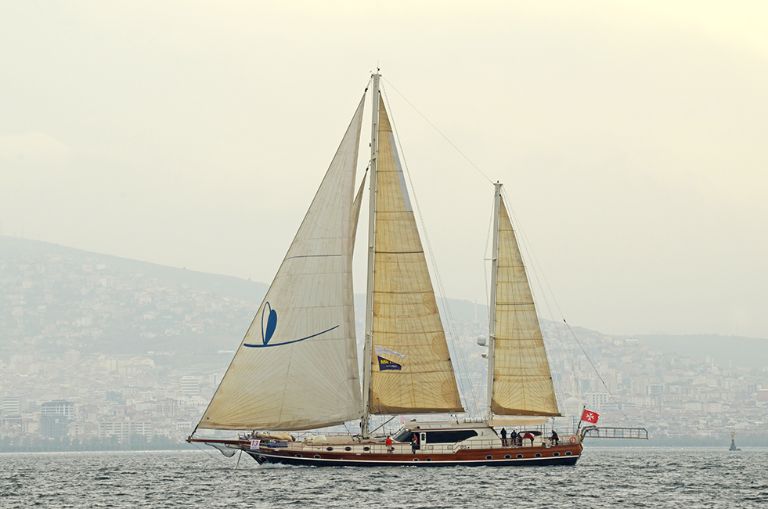 MALA SHARCA photo