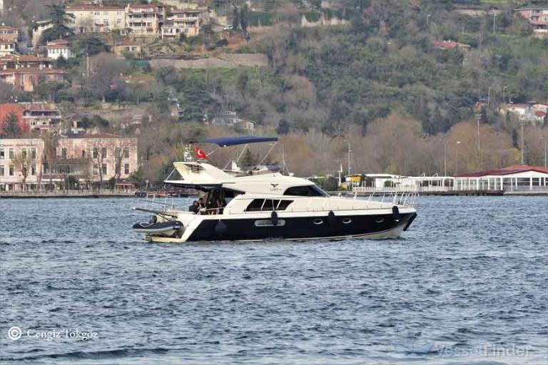 LARUS 34 photo