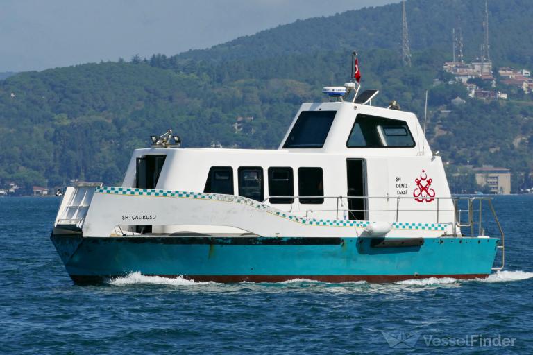 SH-CALIKUSU photo