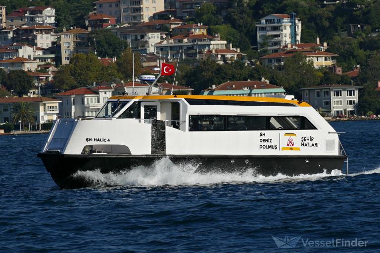 SH-HALIC-4 photo