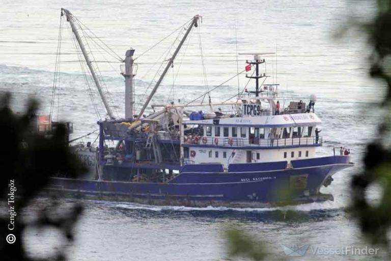 AVCI RECEBINA 3 photo
