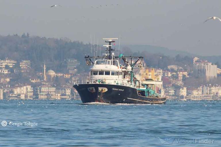 MAMULI REIS-III photo