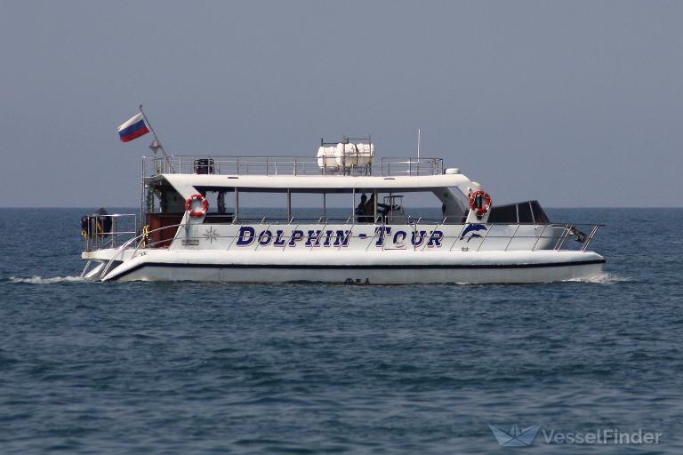 DOLPHIN TOUR photo