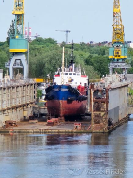 ALEXANDER GORYUNOV photo