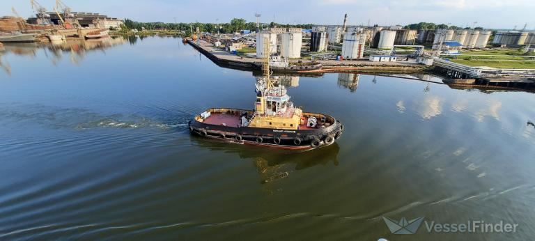 MIKHAIL NOVIKOV photo