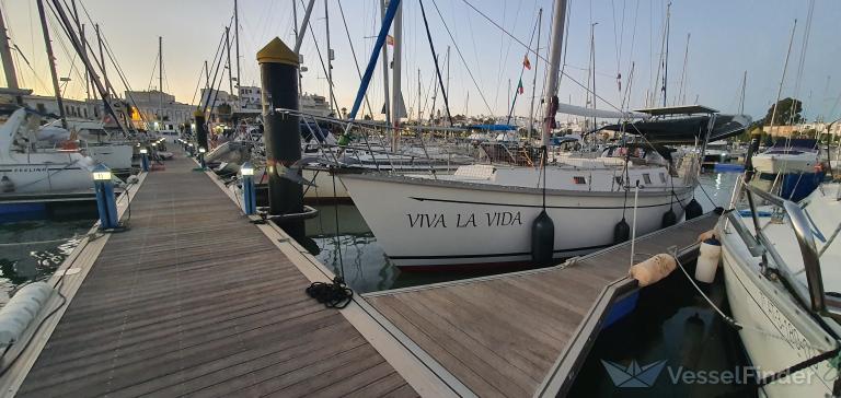 VIVA LA VIDA photo