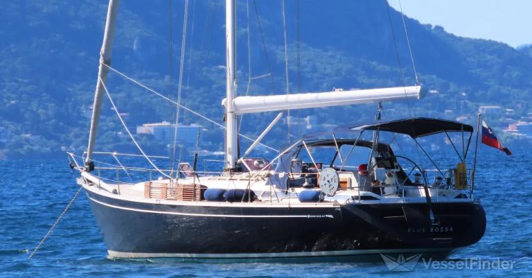 BLUE BOSSA photo