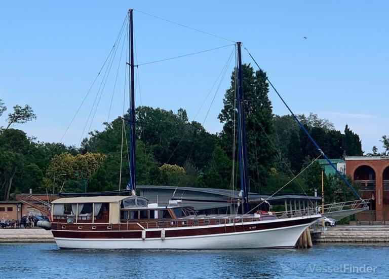 LYCIAN PRINCESS photo