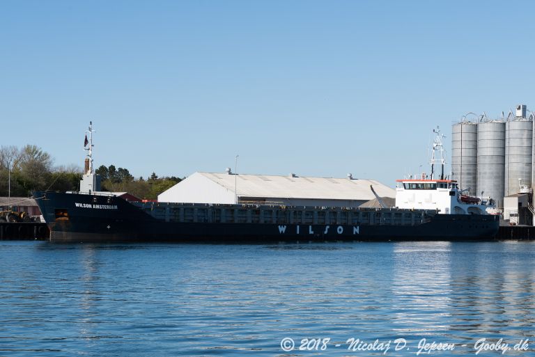 WILSON AMSTERDAM