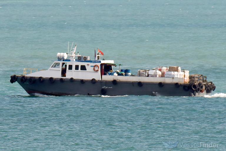 JOLLY ROYAL SC4854F photo