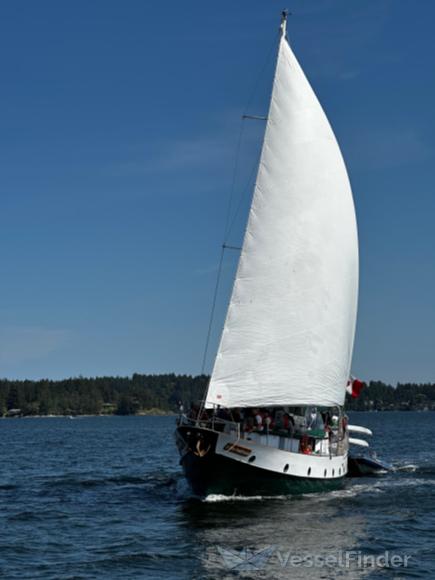 A FINE MADNESS photo