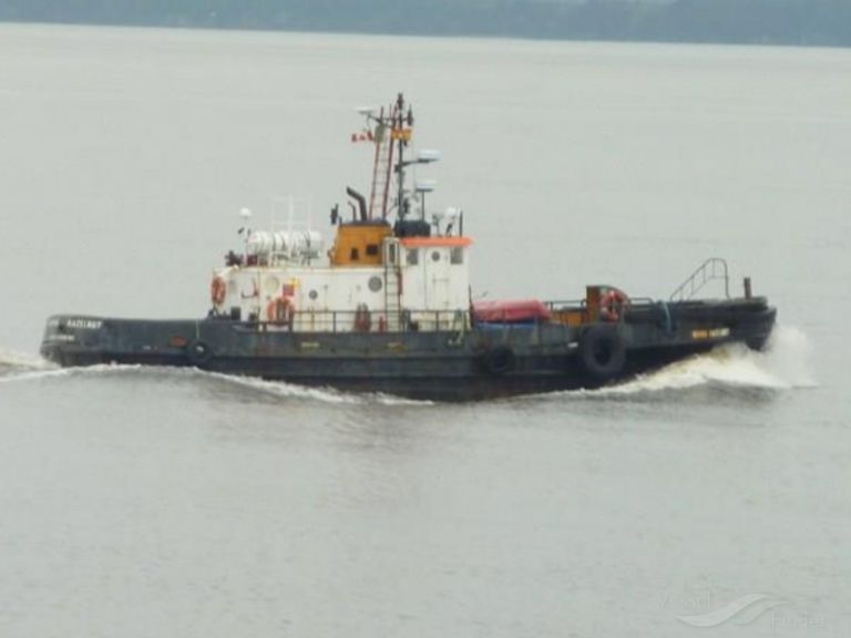 IRVING HAZELNUT photo