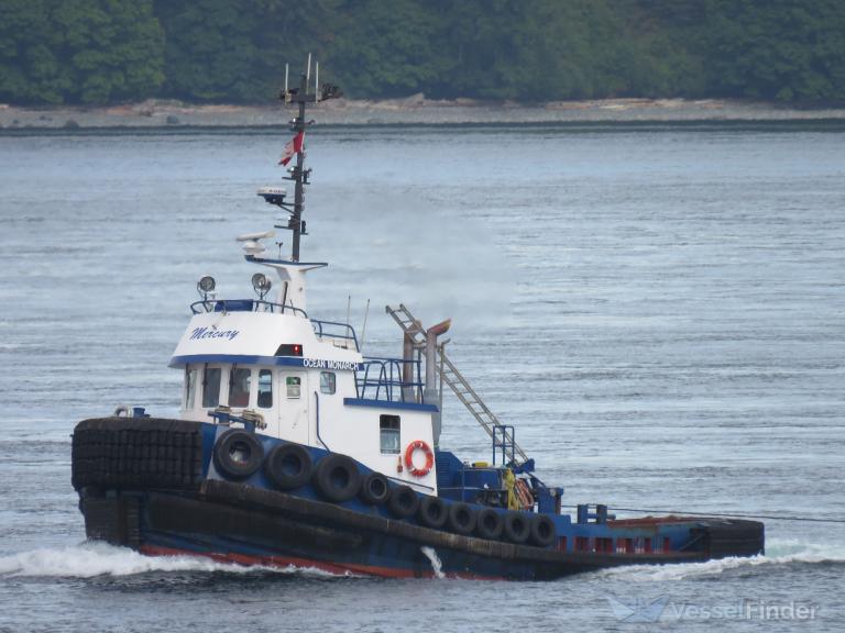 OCEAN MONARCH photo